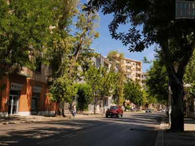 ...cos� come tutti quelli di viale Salandra e di viale Orazio Flacco...
